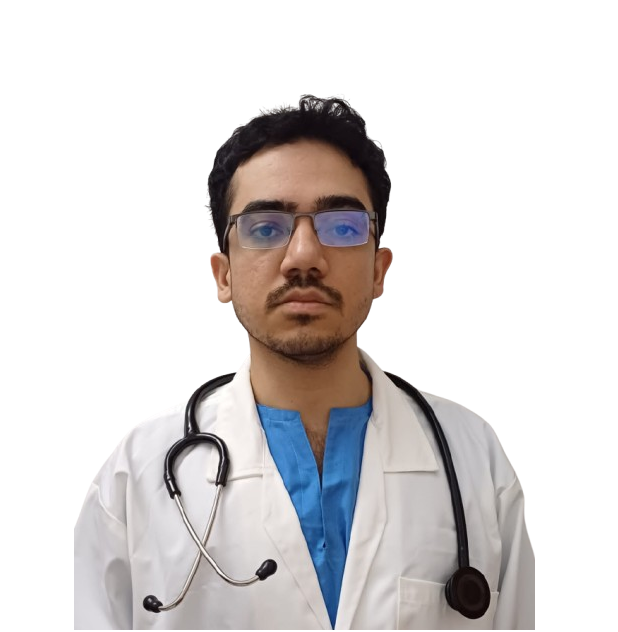 Dr. Dr. Syed Waseem 